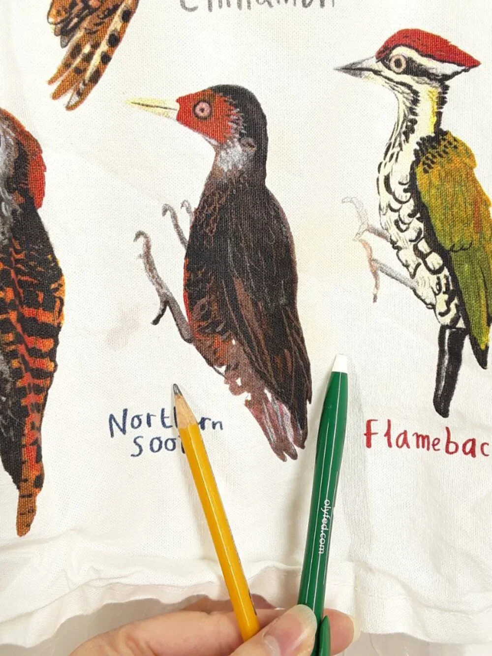 Used Bird Watcher Tea Dish Towels, Novelty Gag Gift, by Sarah Edmonds, cotton
